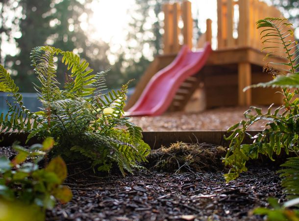 Into the Woods Early Learning Child Care Studio Exterior